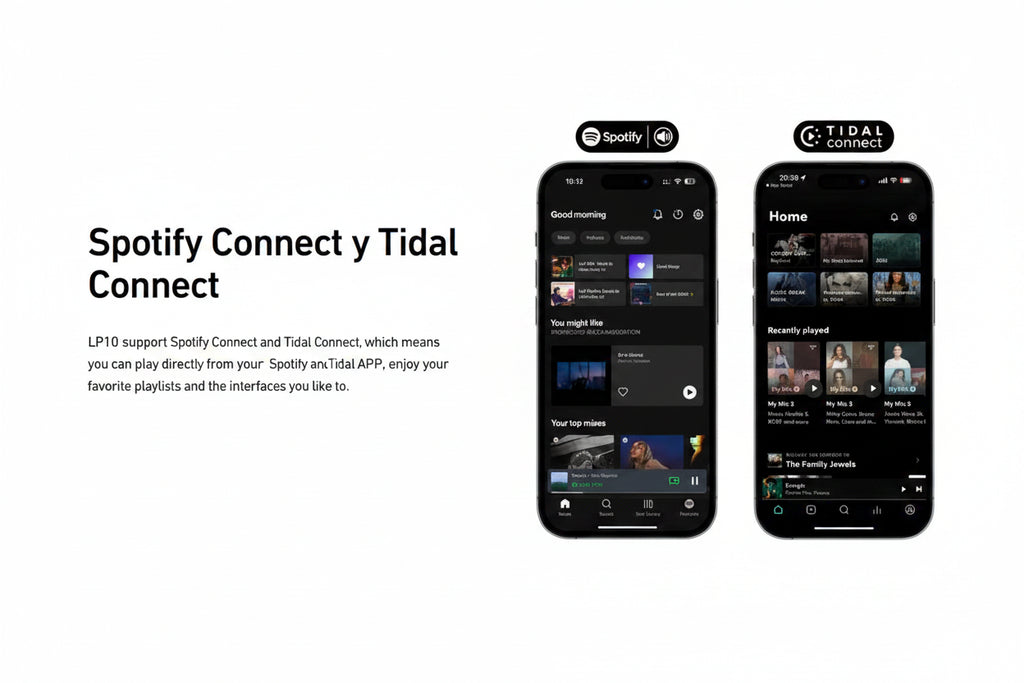Reproductor de audio inalámbrico Arylic LP10 AirPlay 2 | Spotify Connect /Google Cast,/TIDAL | Preamplificador Bluetooth WiFi con USB y entrada óptica