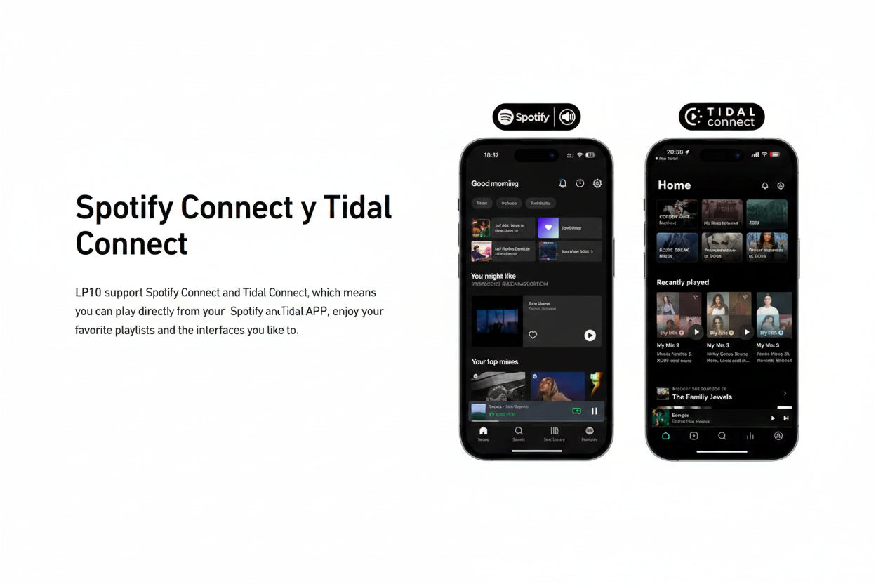 Reproductor de audio inalámbrico Arylic LP10 AirPlay 2 | Spotify Connect /Google Cast,/TIDAL | Preamplificador Bluetooth WiFi con USB y entrada óptica