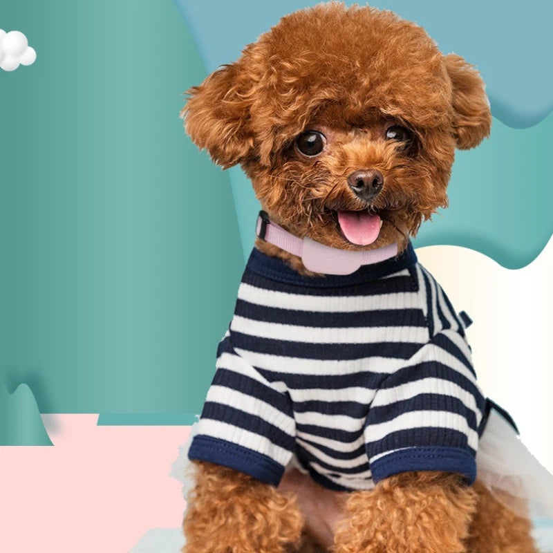Localizador GPS remoto para mascotas compatible con la aplicación Buscar de Apple. Resistente al agua. Collar con alerta de movimiento y seguimiento en tiempo real. Localizador global anti pérdida para perros y gatos.